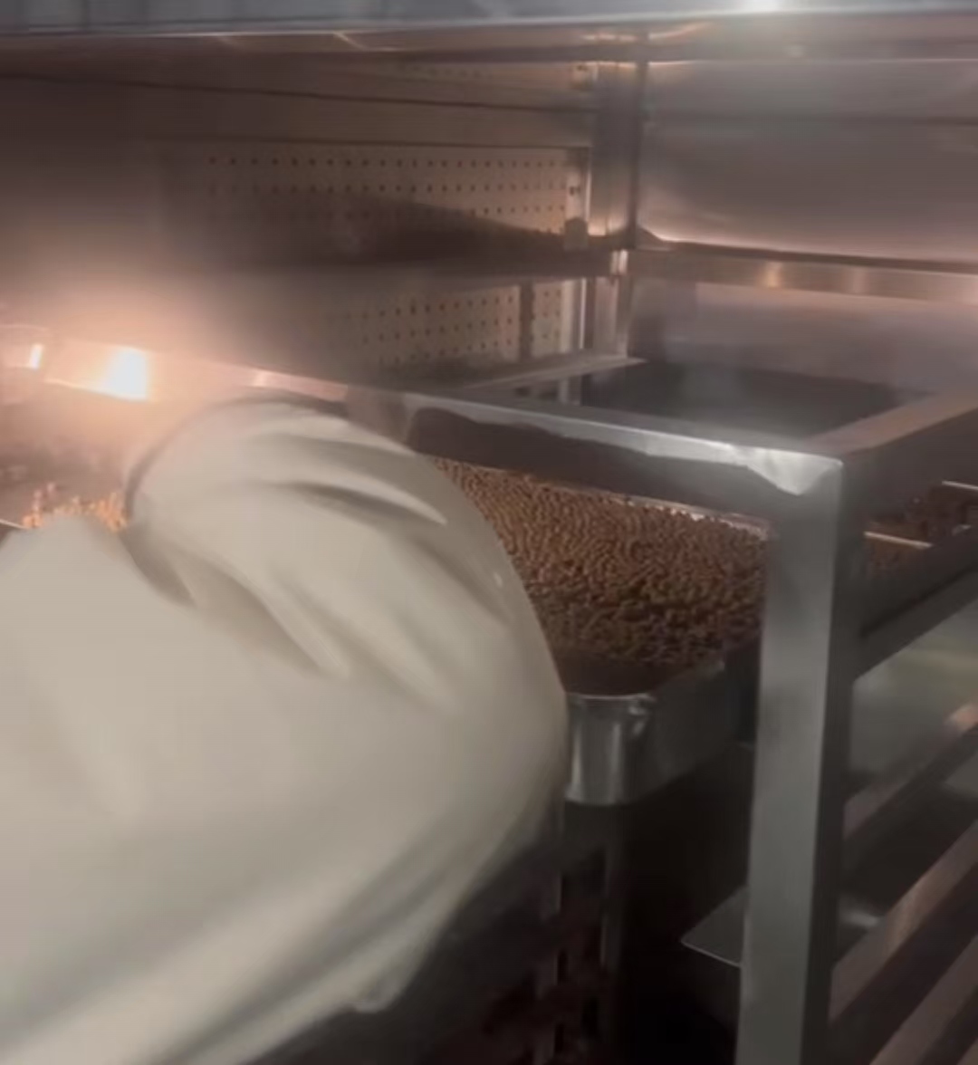 丸剂专用热风循环烘箱带料试机