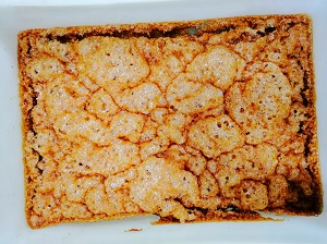 微波真空干燥机干燥的中药浸膏