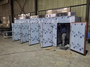 五门十车热风循环烘箱