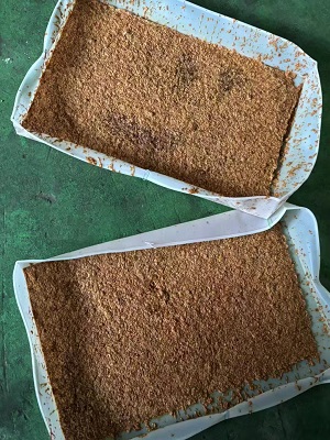 脉动真空干燥机中药浸膏干燥效果图
